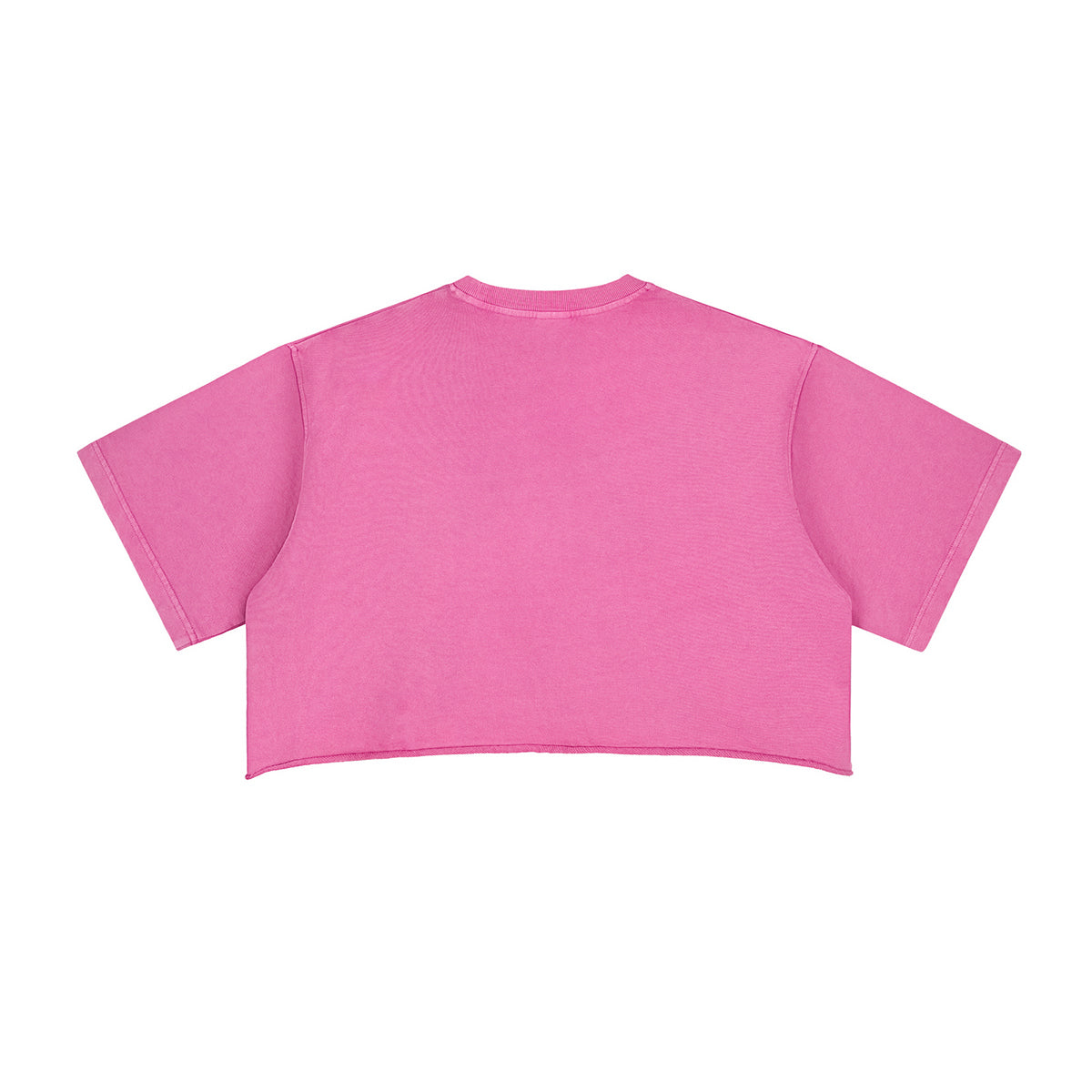 Vintage Washed Raw Edge Crop Tee 280gsm